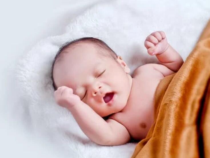 试管咖啡培养技术