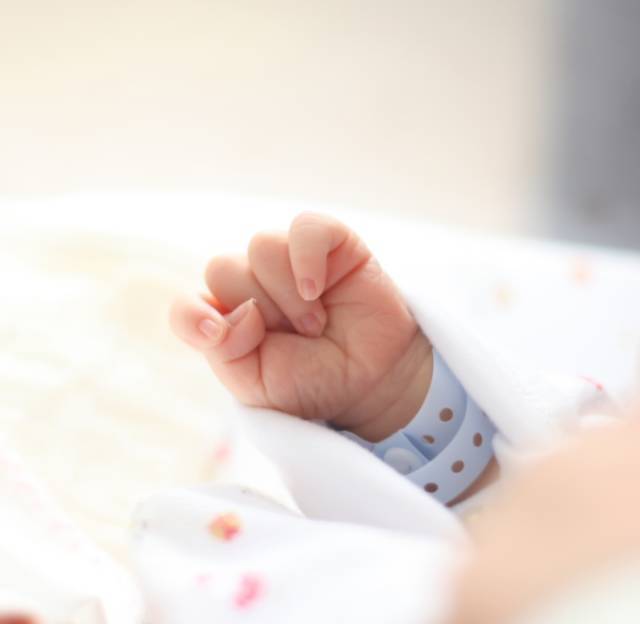 试管婴儿三个月后胎儿发育情况