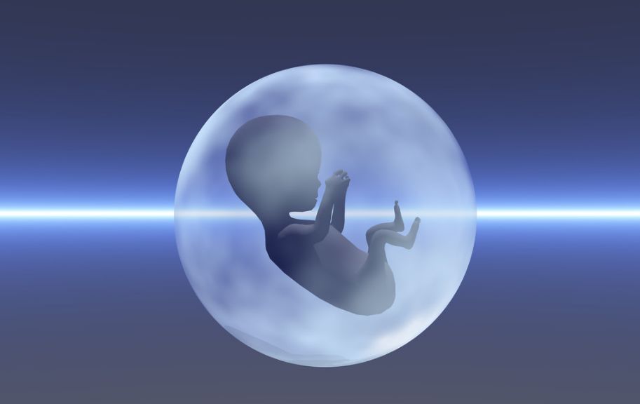 试管前饮食指导