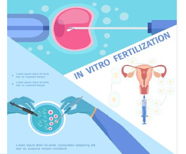 试管前需要进行遗传咨询和检查