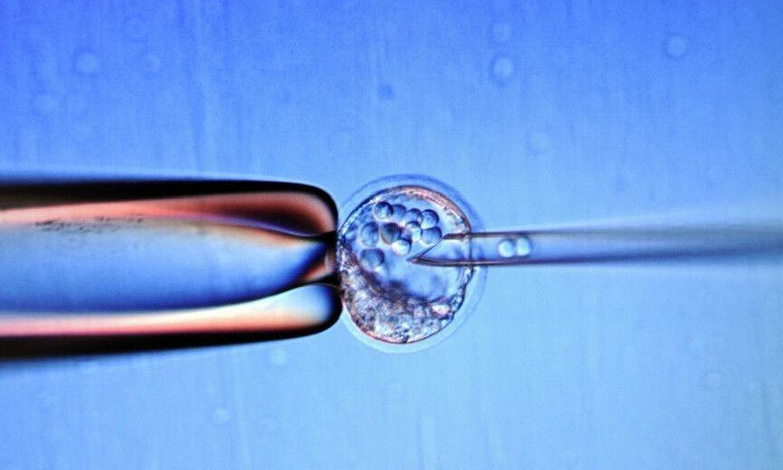 试管基因检测技术