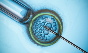 试管双胞胎胎儿着床率