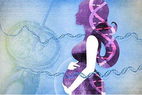 试管促排卵方案选择